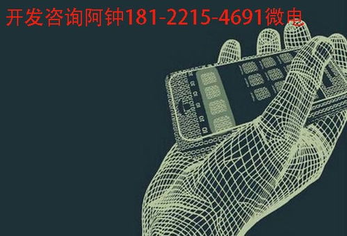 江蘇小葉惠購模式開發系統定制方案