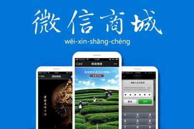 購物商城返積分系統(tǒng)營銷模式的定制開發(fā)